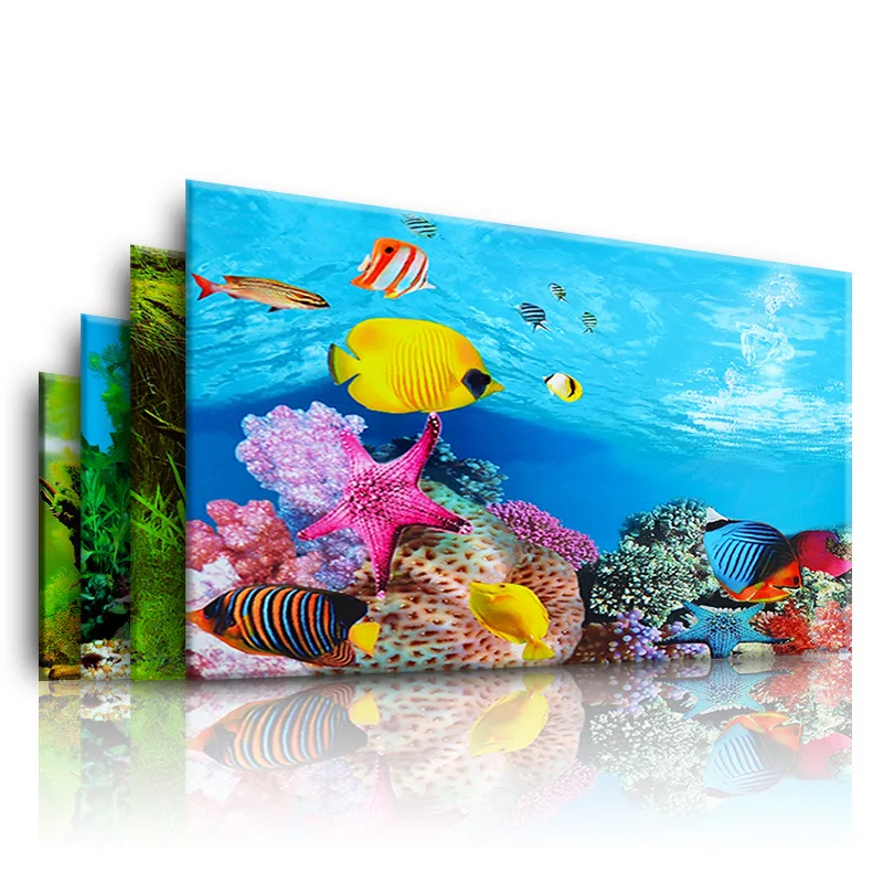 Aquarium Fish Wallpaper - Nền Cho Bể Cá 3d Dán
