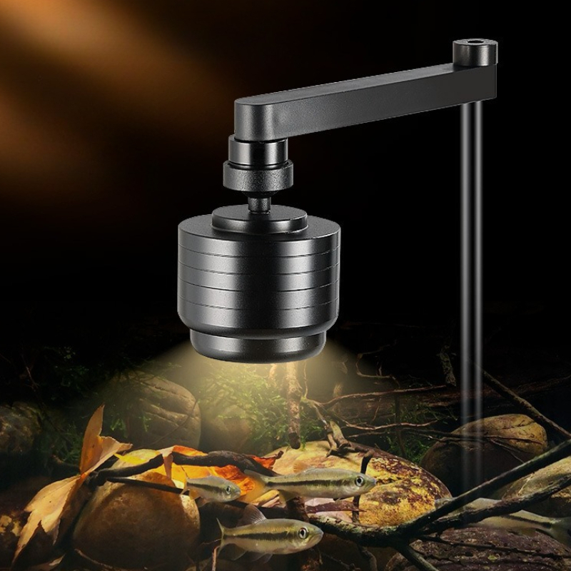 Aquarium Fish Photography - Fish Tank Light LED 3 Colors