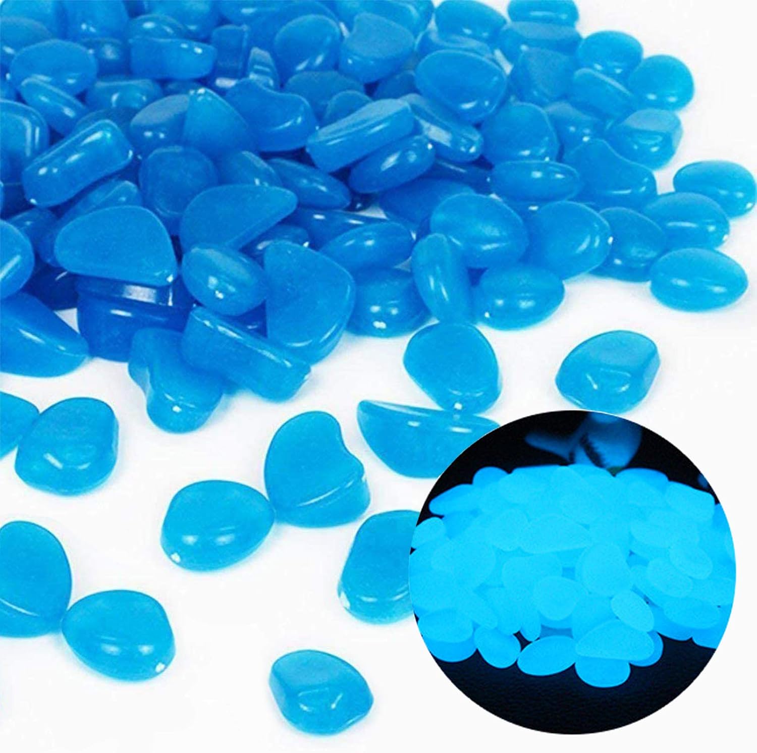 Aquarium Fish Photography - Fish Tank Rocks Glow Blue Pebbles
