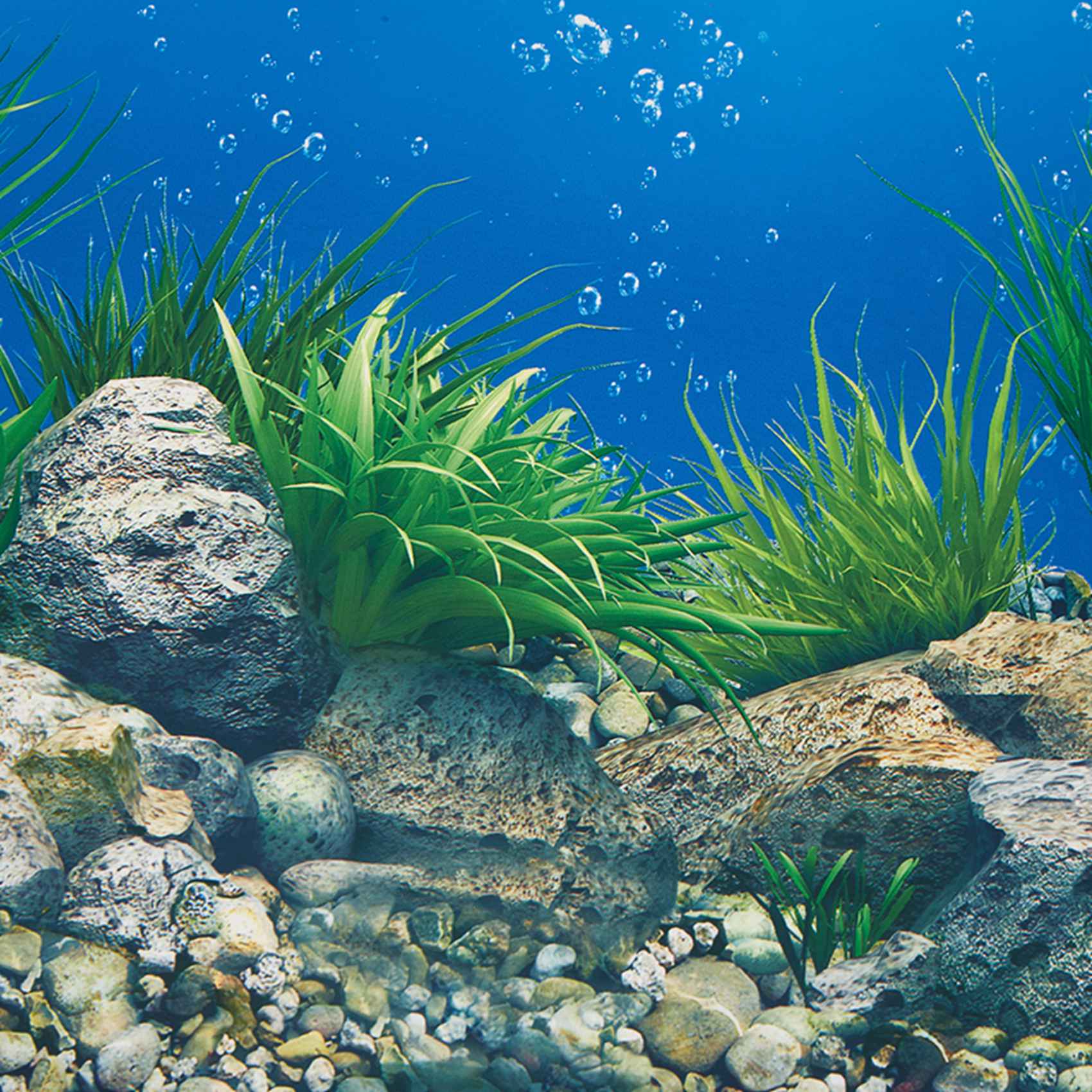 ABWR-Aquarium Background Paper - đánh giá và giá Aquarium Fish Wallpaper