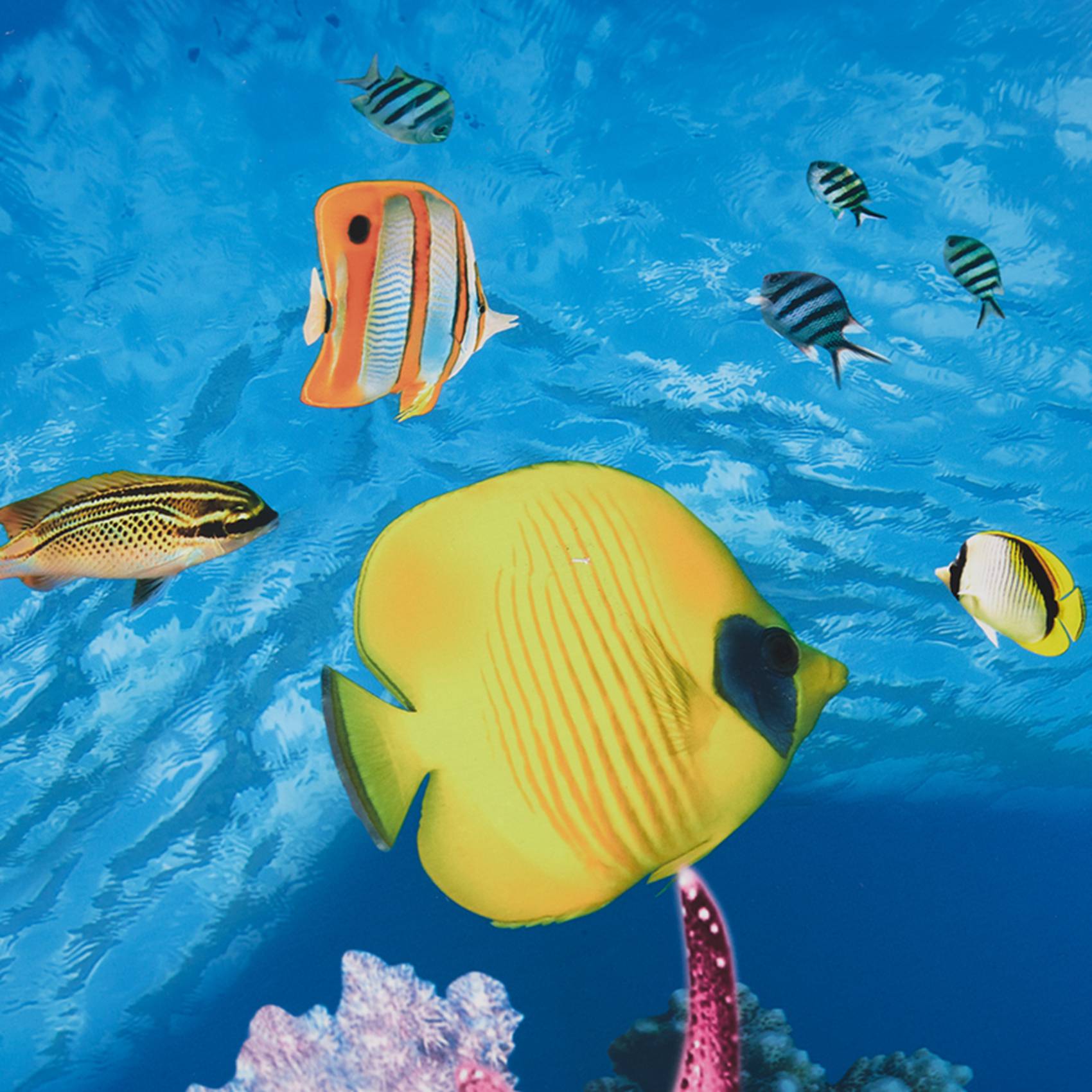 ABWR-Aquarium Background Paper - đánh giá và giá Aquarium Fish Wallpaper