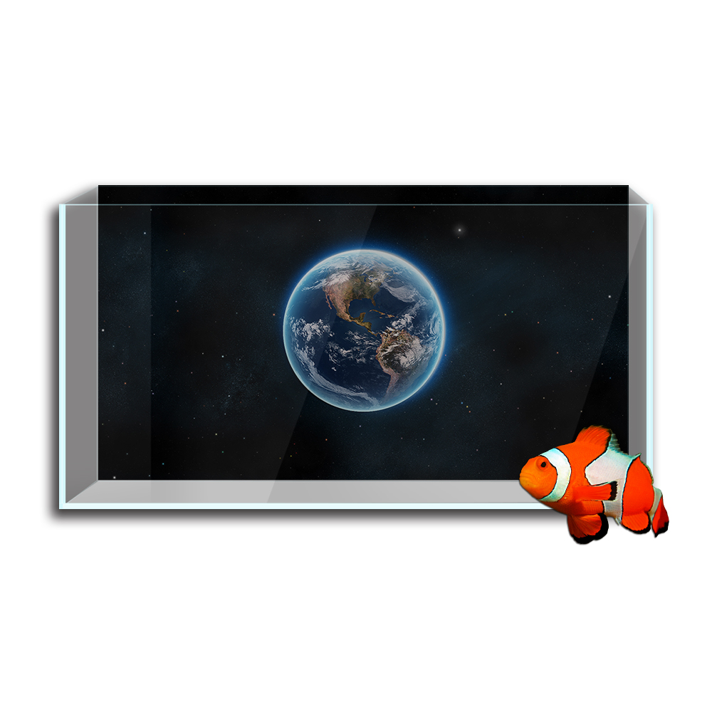 Hồ Cá Cá Nền Miếng Dán, Trái Đ - đánh giá và giá Aquarium Fish Wallpaper