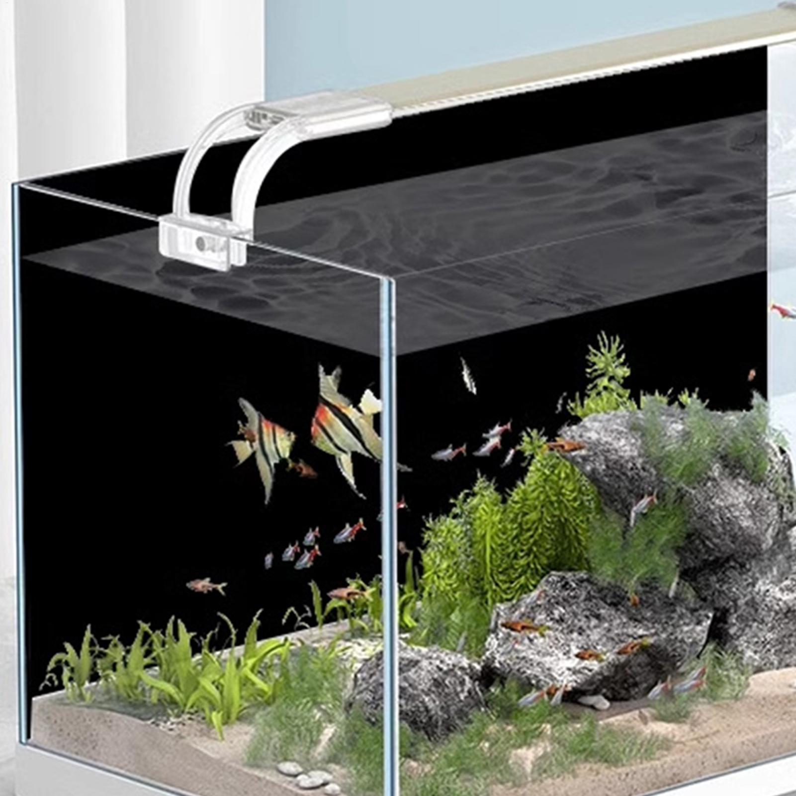 Black Aquarium Background Stat - đánh giá và giá Aquarium Fish Wallpaper