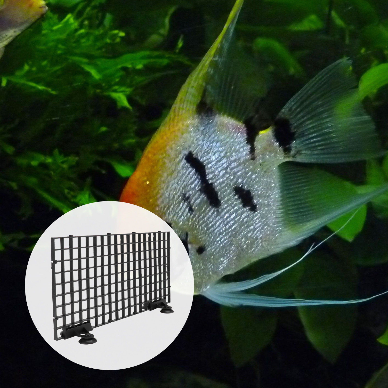 Fish Breeder Net Big Size Blac - đánh giá và giá Aquarium Fish Big Size