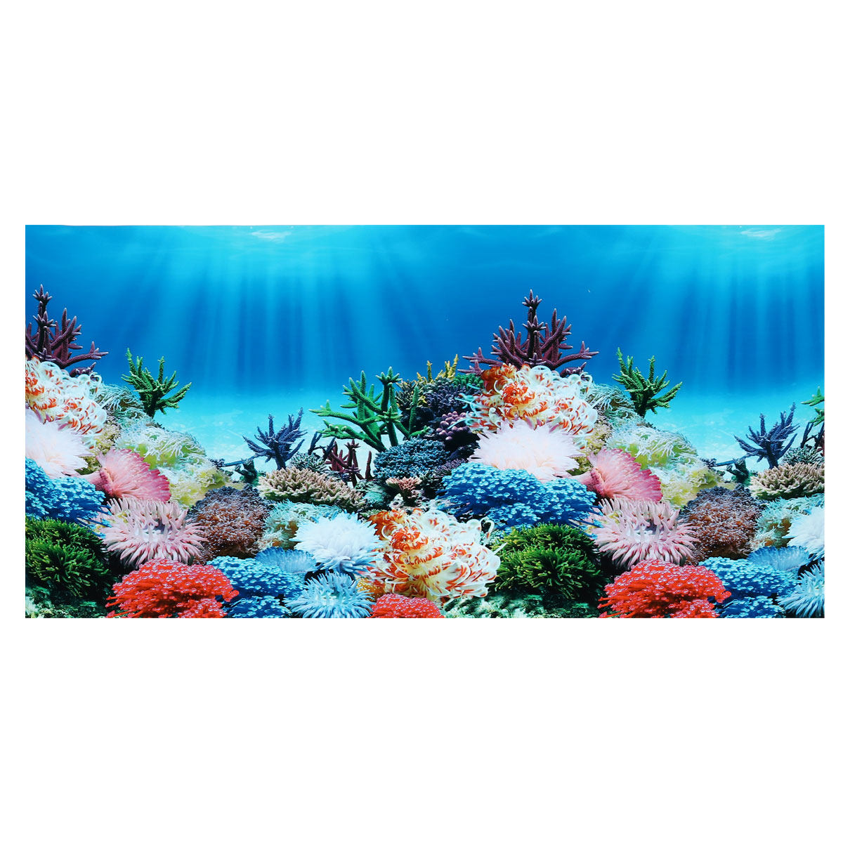 Aquarium Background Decal Doub - đánh giá và giá Aquarium Fish Wallpaper
