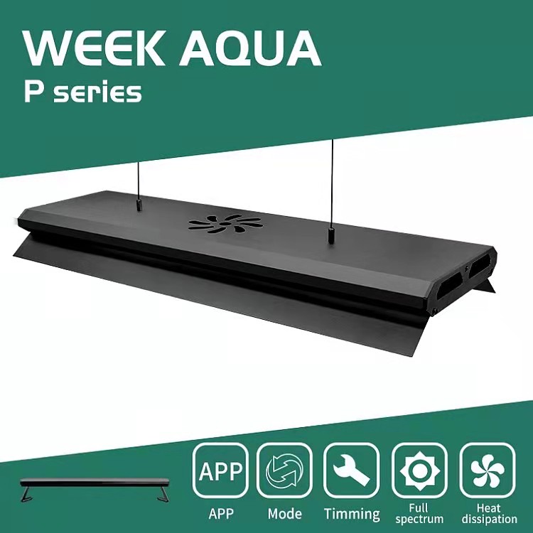 APP Control Adjustable Height  - đánh giá và giá Aquarium Fish Big Size