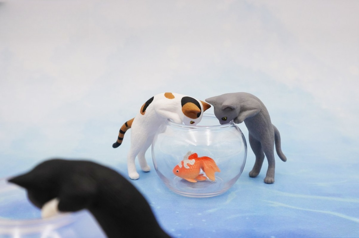 Original capsule toys cute kaw - đánh giá và giá Aquarium Fish Japan