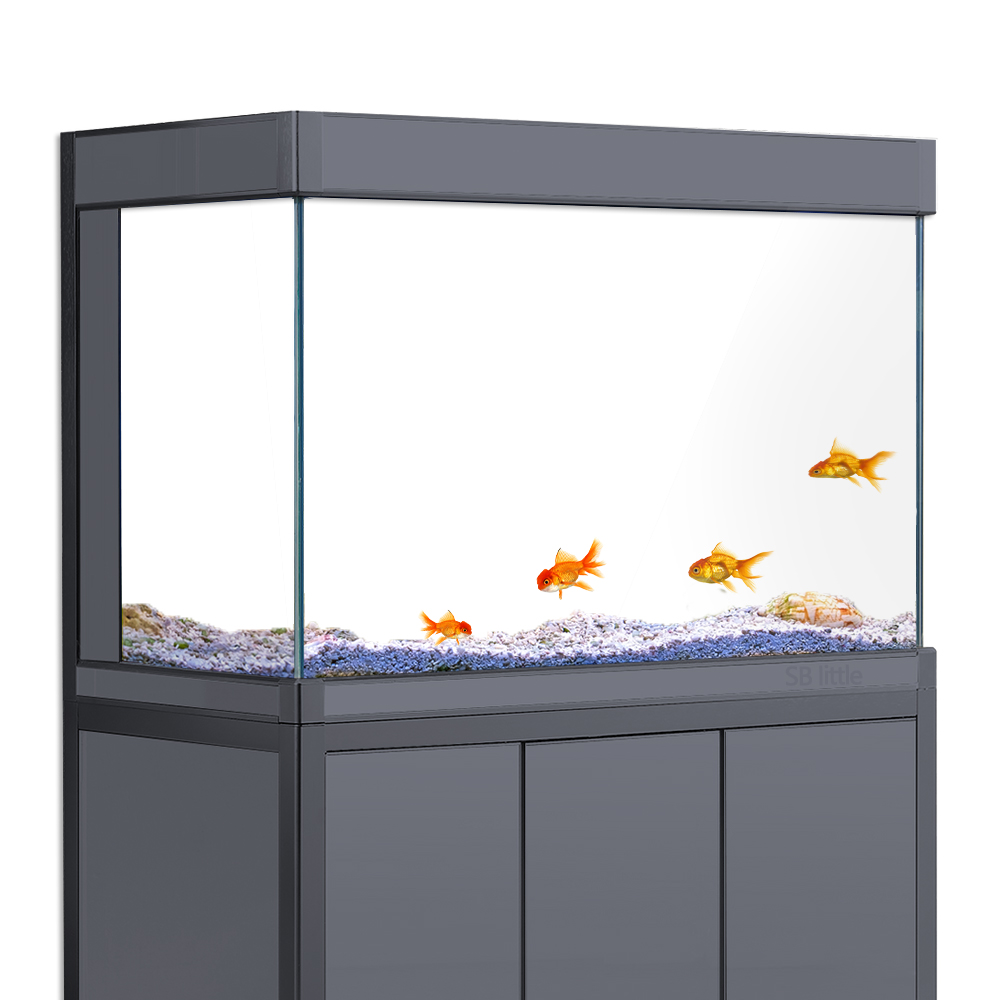 Aquarium Background Static Cli - đánh giá và giá Aquarium Fish Wallpaper