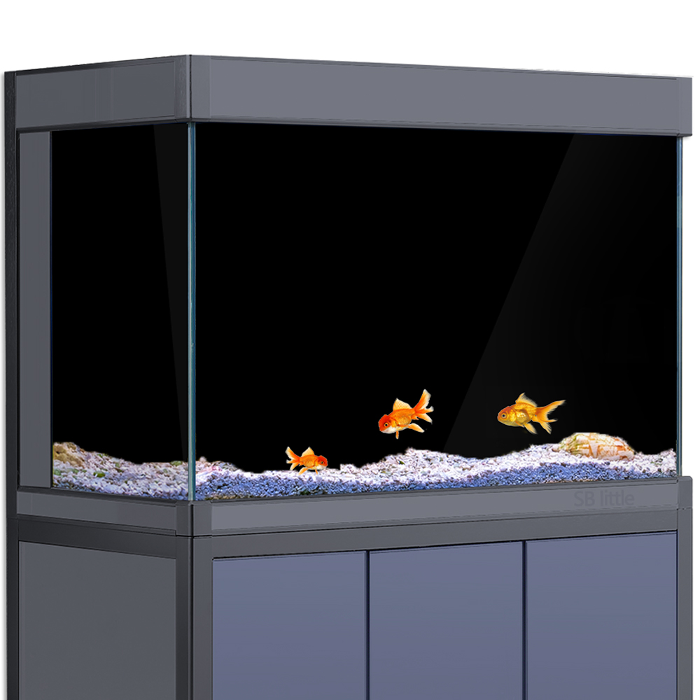 Aquarium Background Static Cli - đánh giá và giá Aquarium Fish Wallpaper