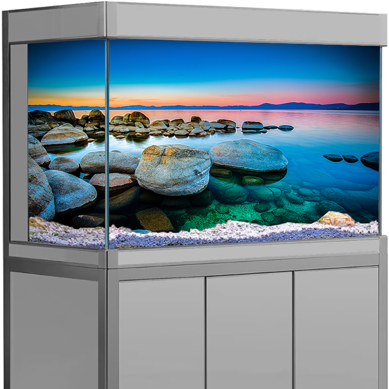 Aquarium Background Sticker St - đánh giá và giá Aquarium Fish Wallpaper