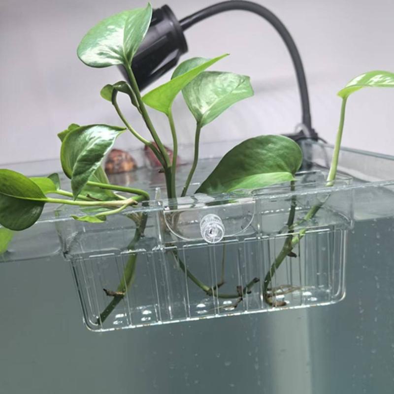 Hydroponic Plant Basket Food G - đánh giá và giá Aquarium Fish Usa