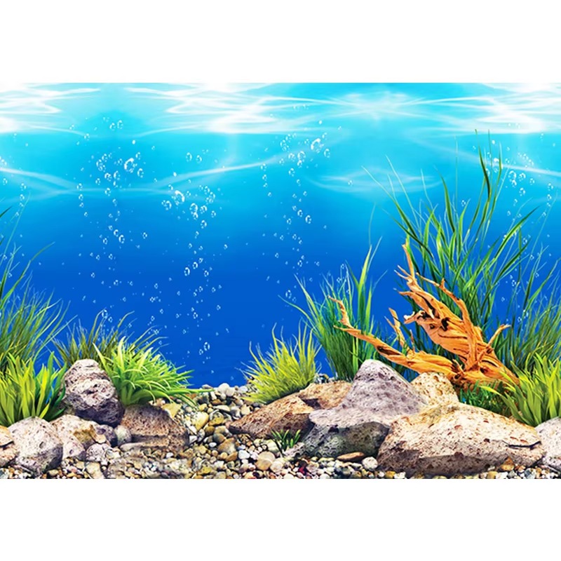 artificial corals for aquarium - đánh giá và giá Aquarium Fish Wallpaper