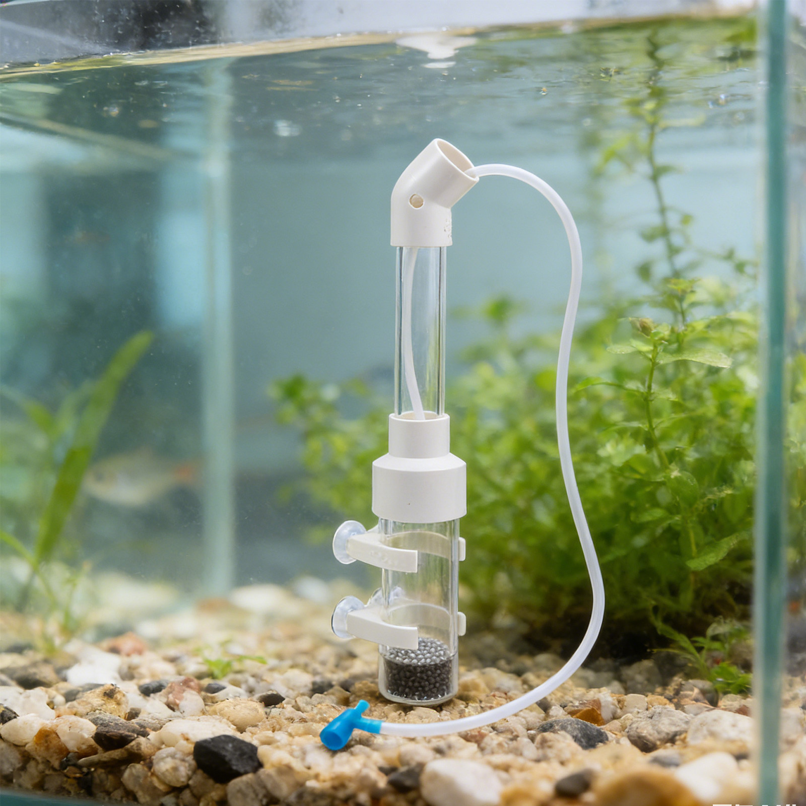 2Sets Fish Egg Incubator Kit 4 - đánh giá và giá Aquarium Fish Usa