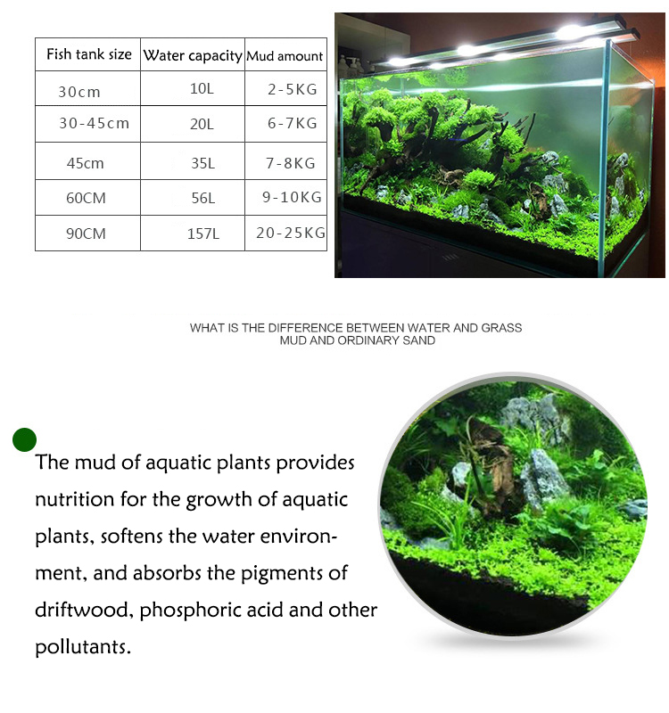 Bể Cá Cảnh Vật Có Hạt Đất Fish - đánh giá và giá Aquarium Fish Photography