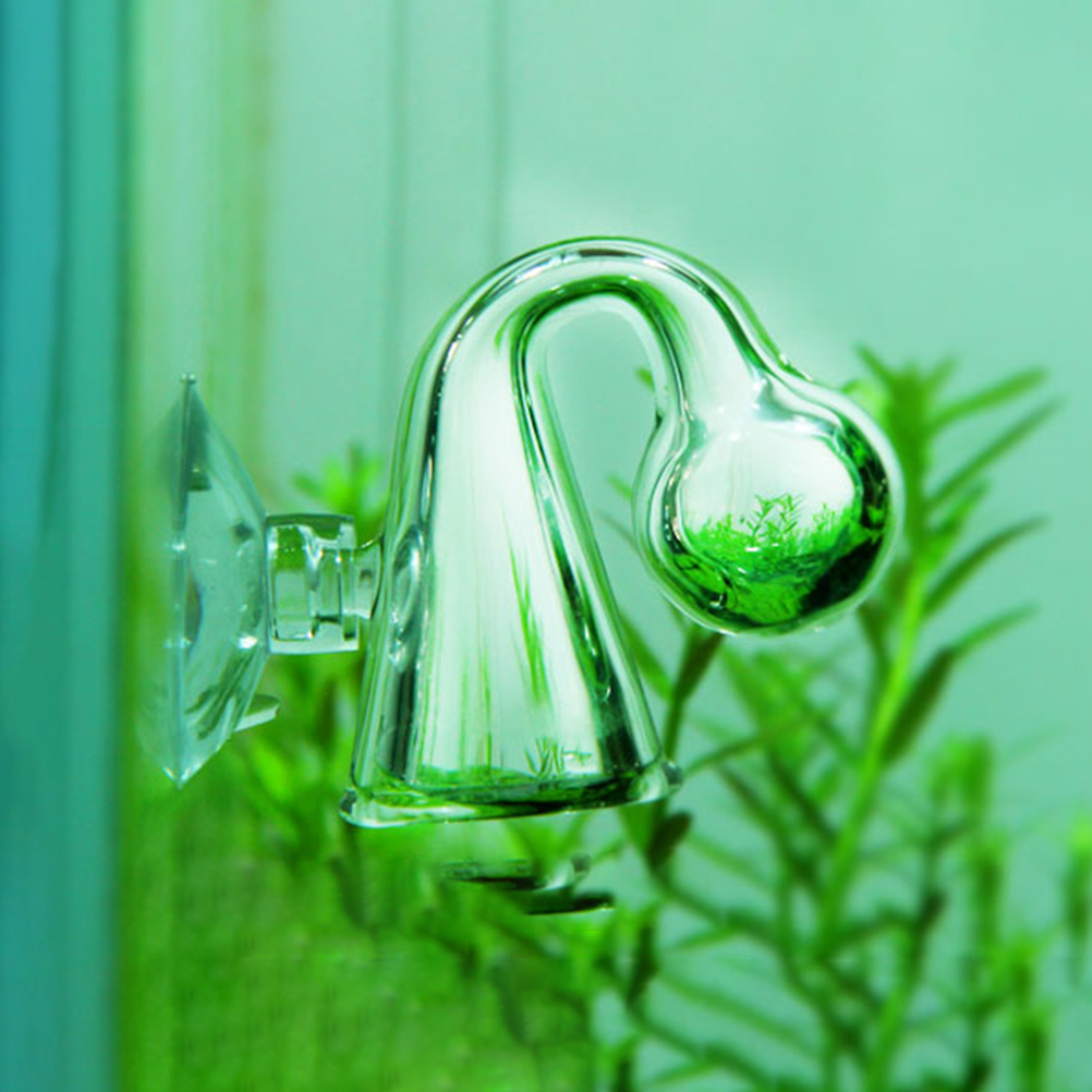 Fish Tank CO2 Diffuse Glass Dr - đánh giá và giá Aquarium Fish Photography