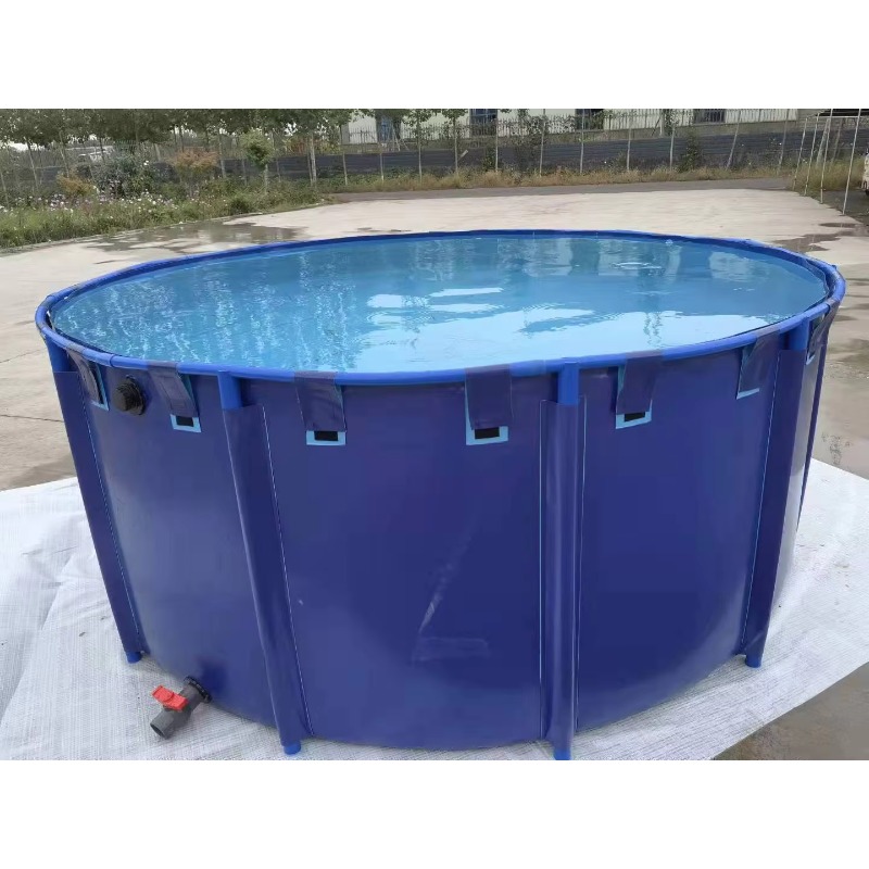 Wholesale Custom Outdoor Large - đánh giá và giá Aquarium Fish Big Size