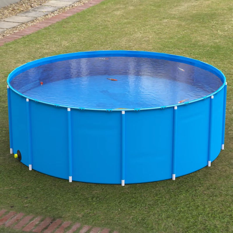 Wholesale Custom Outdoor Large - đánh giá và giá Aquarium Fish Big Size
