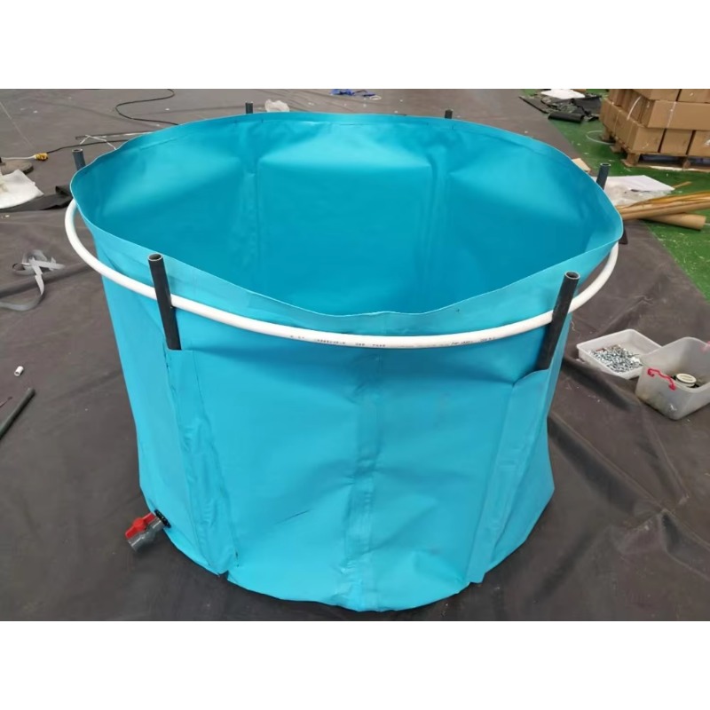 Wholesale Custom Outdoor Large - đánh giá và giá Aquarium Fish Big Size