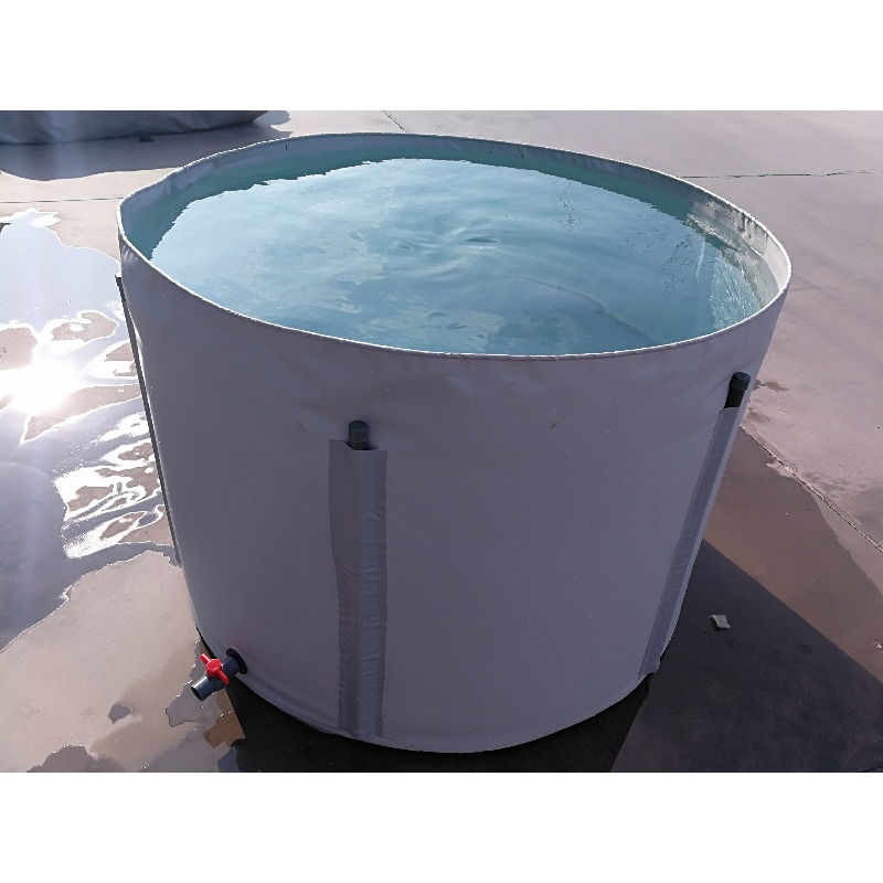Wholesale Custom Outdoor Large - đánh giá và giá Aquarium Fish Big Size